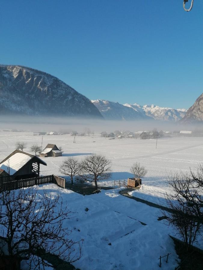 Apartment Cvetek Janez Bohinj Bagian luar foto